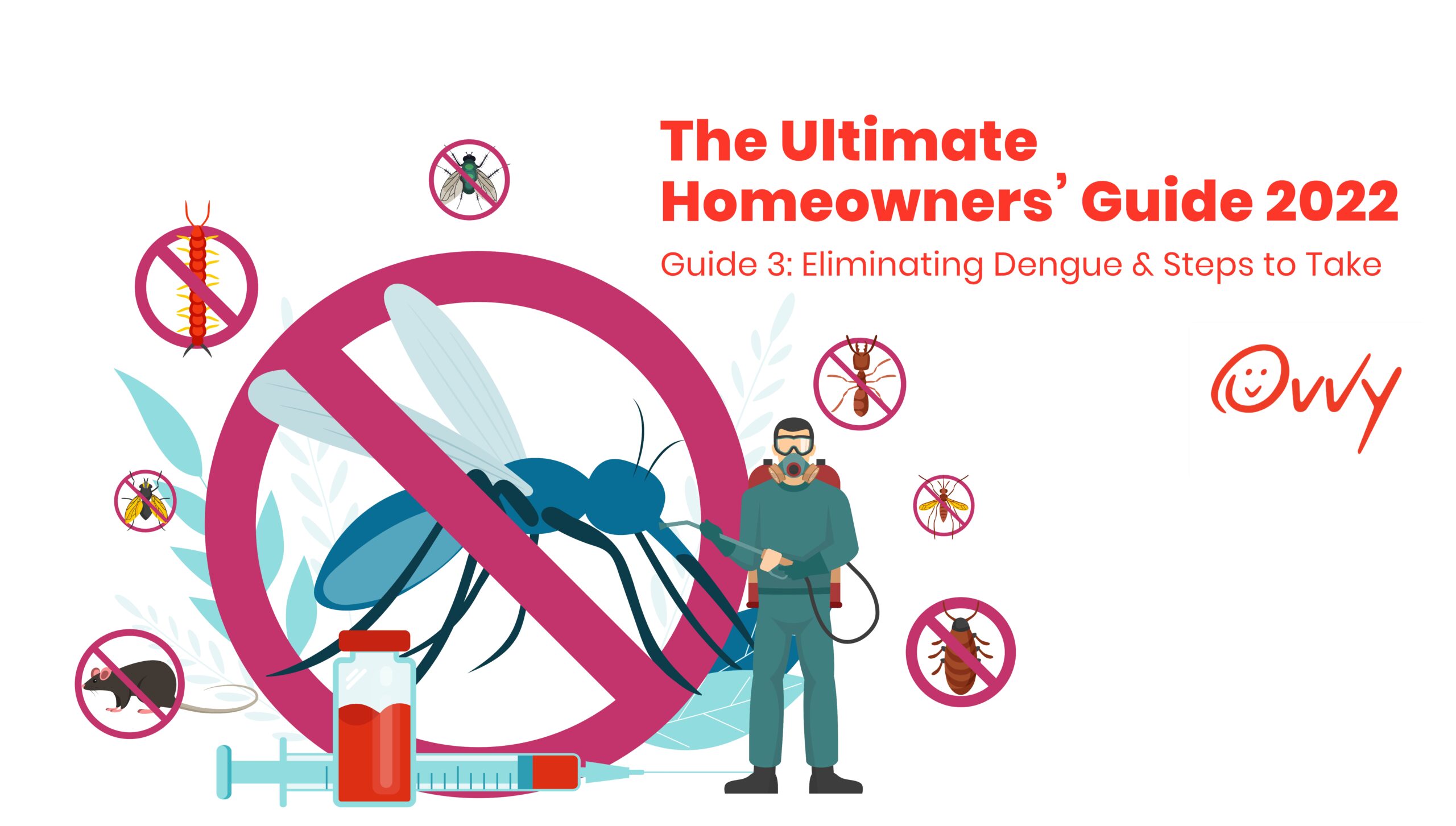 The Ultimate Homeowners’ Guide 2022 – Eliminating Dengue & Steps to 